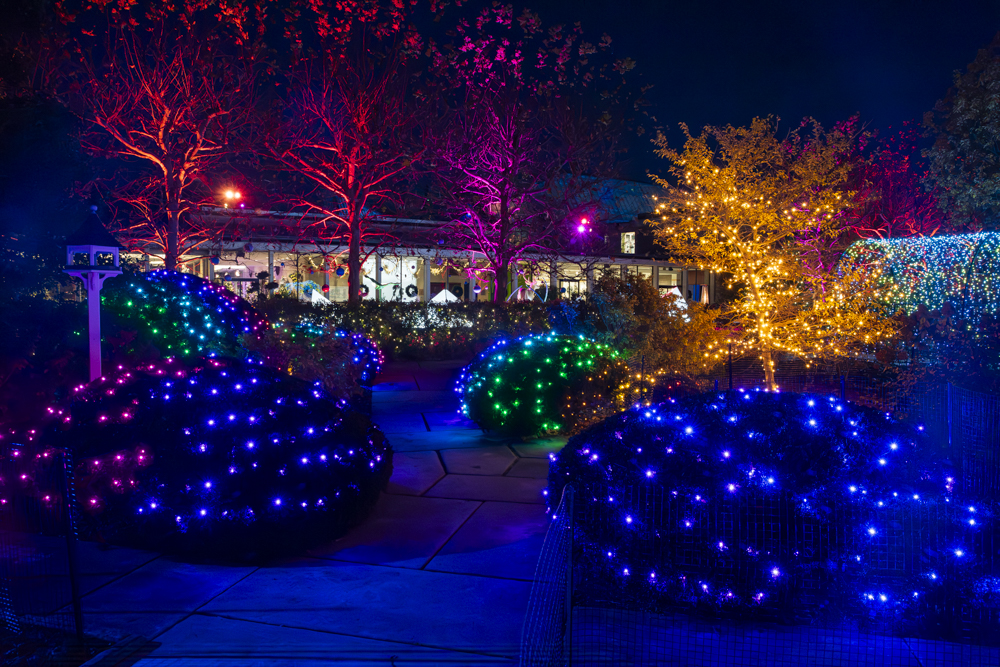 Frost – Cleveland Botanical Garden